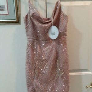 Dusty rose coctai dress